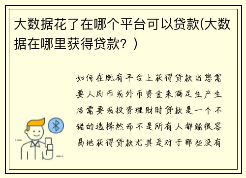 大数据花了在哪个平台可以贷款(大数据在哪里获得贷款？)